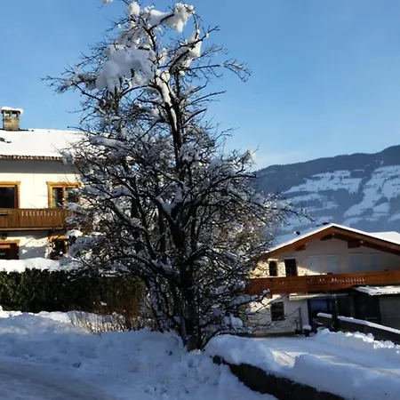 Spacious House In With Terrace *