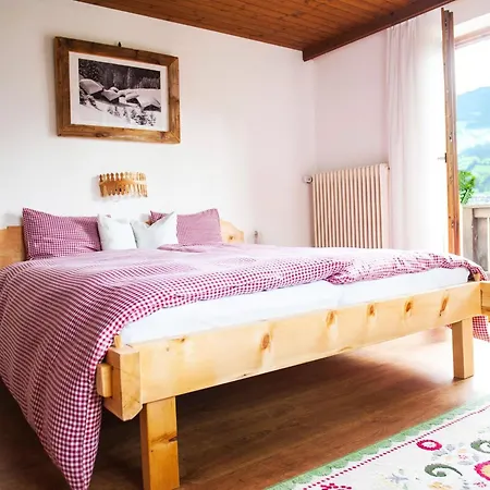 Spacious House In With Terrace *